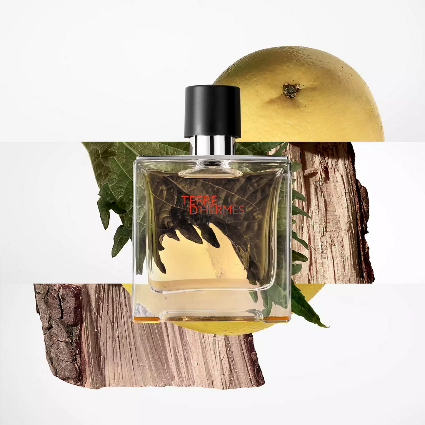 Hermès Terre d'Hermès Eau De Toilette